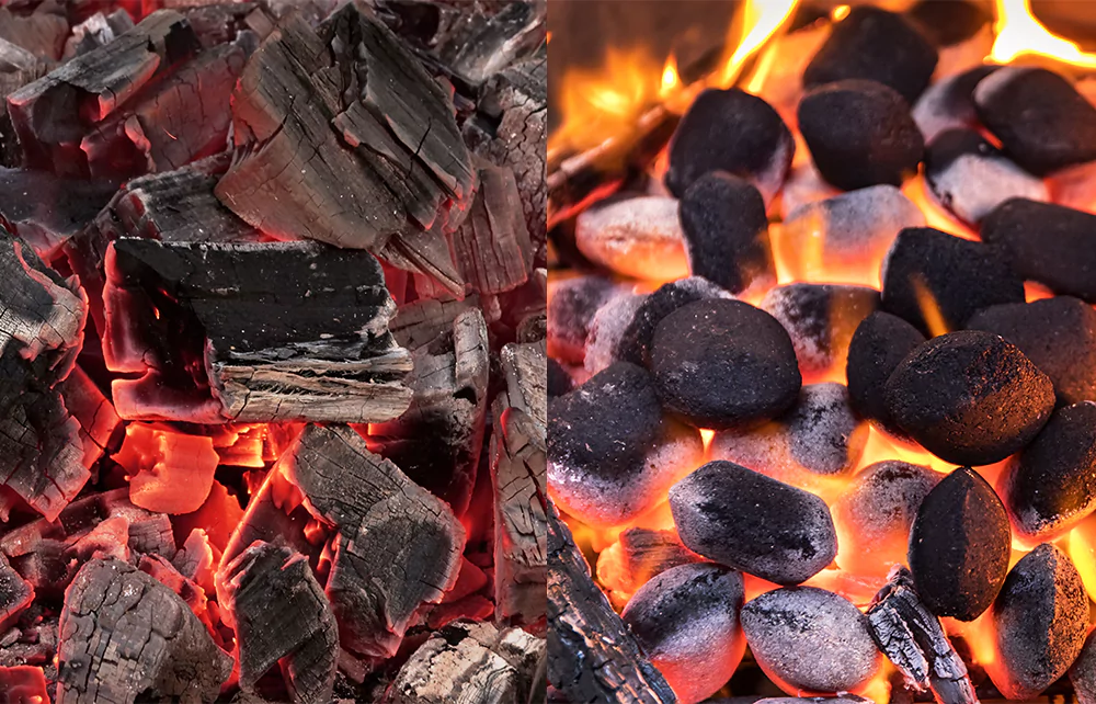 Lump charcoal vs briquettes comparison photo